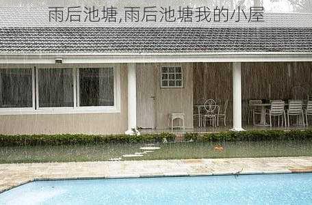 雨后池塘,雨后池塘我的小屋