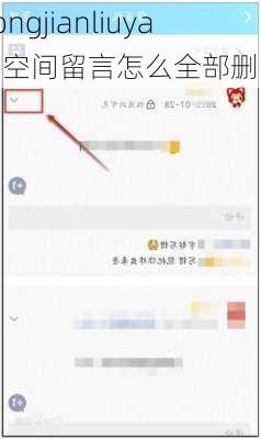 kongjianliuyan,空间留言怎么全部删除-第3张图片-星梦范文网