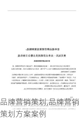 品牌营销策划,品牌营销策划方案案例-第3张图片-星梦范文网