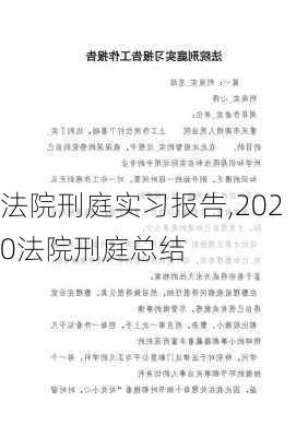 法院刑庭实习报告,2020法院刑庭总结-第3张图片-星梦范文网