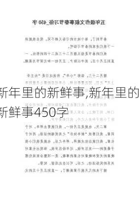 新年里的新鲜事,新年里的新鲜事450字-第2张图片-星梦范文网