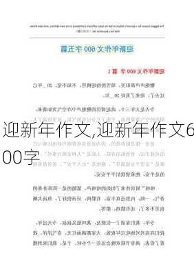 迎新年作文,迎新年作文600字-第1张图片-星梦范文网