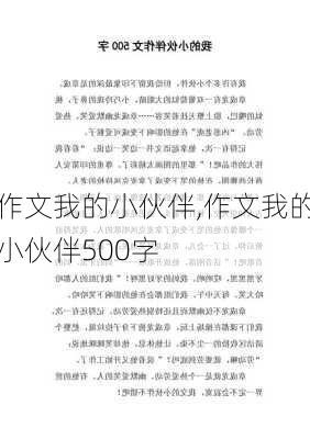 作文我的小伙伴,作文我的小伙伴500字-第1张图片-星梦范文网