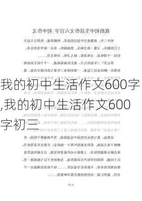 我的初中生活作文600字,我的初中生活作文600字初三-第1张图片-星梦范文网