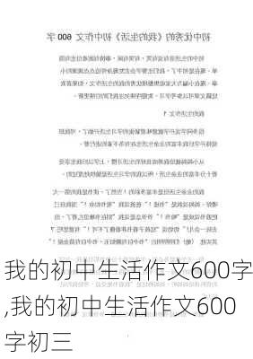 我的初中生活作文600字,我的初中生活作文600字初三-第3张图片-星梦范文网