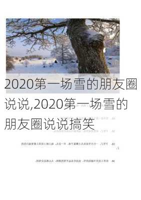 2020第一场雪的朋友圈说说,2020第一场雪的朋友圈说说搞笑-第3张图片-星梦范文网