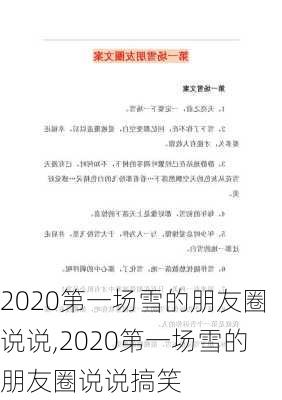 2020第一场雪的朋友圈说说,2020第一场雪的朋友圈说说搞笑-第1张图片-星梦范文网