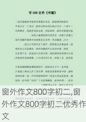 窗外作文800字初二,窗外作文800字初二优秀作文-第2张图片-星梦范文网