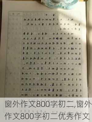 窗外作文800字初二,窗外作文800字初二优秀作文-第3张图片-星梦范文网