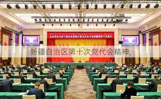 新疆自治区第十次党代会精神,