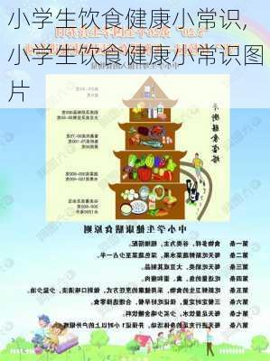 小学生饮食健康小常识,小学生饮食健康小常识图片-第1张图片-星梦范文网