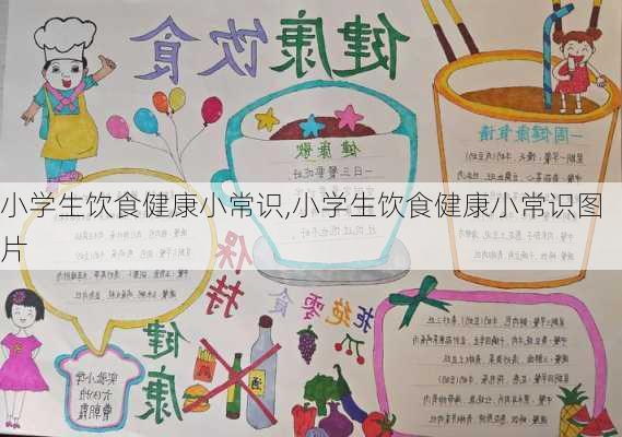 小学生饮食健康小常识,小学生饮食健康小常识图片-第2张图片-星梦范文网