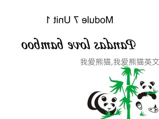 我爱熊猫,我爱熊猫英文-第2张图片-星梦范文网