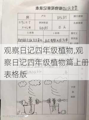 观察日记四年级植物,观察日记四年级植物篇上册表格版-第2张图片-星梦范文网