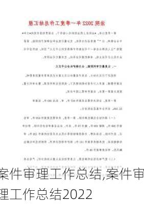 案件审理工作总结,案件审理工作总结2022-第1张图片-星梦范文网