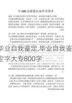 毕业自我鉴定,毕业自我鉴定字大专800字-第2张图片-星梦范文网