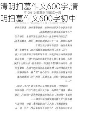 清明扫墓作文600字,清明扫墓作文600字初中-第2张图片-星梦范文网