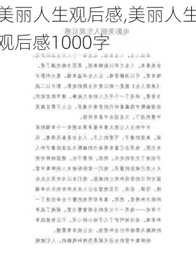 美丽人生观后感,美丽人生观后感1000字-第3张图片-星梦范文网