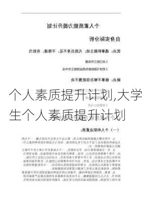 个人素质提升计划,大学生个人素质提升计划