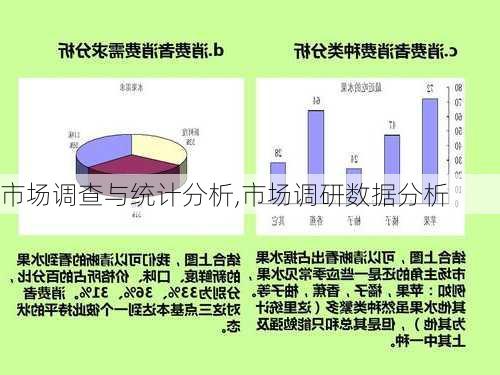 市场调查与统计分析,市场调研数据分析-第2张图片-星梦范文网