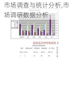 市场调查与统计分析,市场调研数据分析-第1张图片-星梦范文网