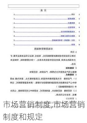 市场营销制度,市场营销制度和规定-第3张图片-星梦范文网