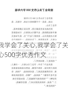 我学会了关心,我学会了关心500字优秀作文-第1张图片-星梦范文网