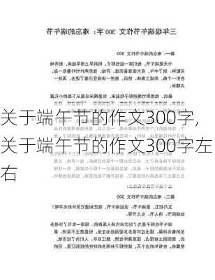 关于端午节的作文300字,关于端午节的作文300字左右-第2张图片-星梦范文网