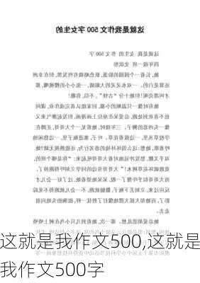 这就是我作文500,这就是我作文500字-第2张图片-星梦范文网