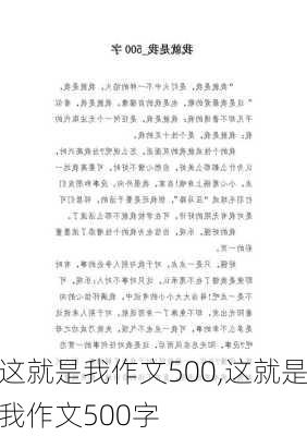 这就是我作文500,这就是我作文500字-第3张图片-星梦范文网