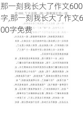 那一刻我长大了作文600字,那一刻我长大了作文600字免费-第3张图片-星梦范文网