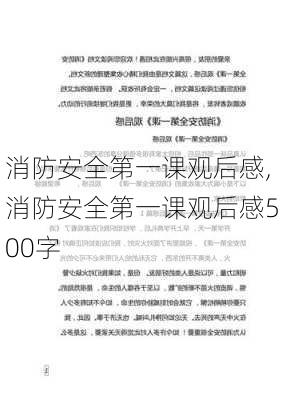 消防安全第一课观后感,消防安全第一课观后感500字-第2张图片-星梦范文网