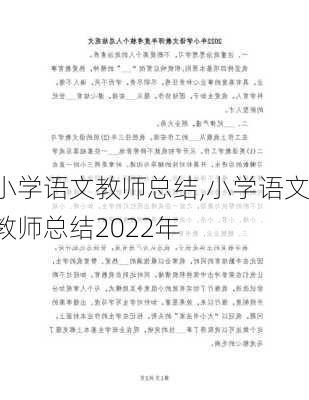 小学语文教师总结,小学语文教师总结2022年-第2张图片-星梦范文网