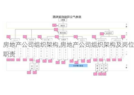 房地产公司组织架构,房地产公司组织架构及岗位职责-第1张图片-星梦范文网