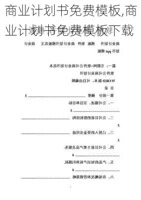 商业计划书免费模板,商业计划书免费模板下载-第2张图片-星梦范文网