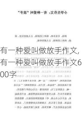 有一种爱叫做放手作文,有一种爱叫做放手作文600字-第2张图片-星梦范文网