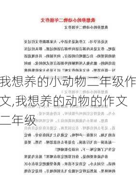 我想养的小动物二年级作文,我想养的动物的作文二年级-第3张图片-星梦范文网