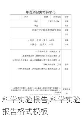 科学实验报告,科学实验报告格式模板