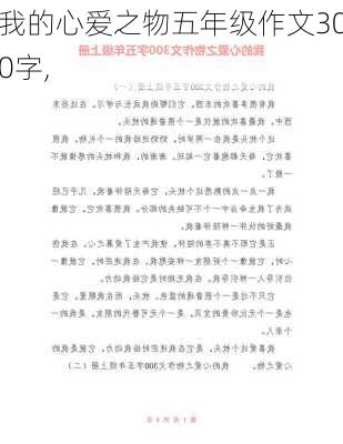 我的心爱之物五年级作文300字,