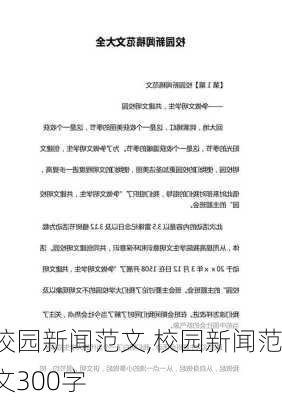 校园新闻范文,校园新闻范文300字-第2张图片-星梦范文网