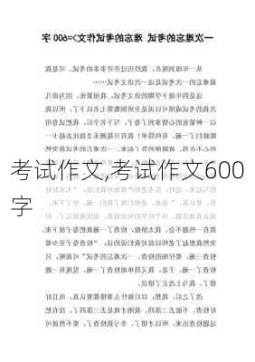 考试作文,考试作文600字