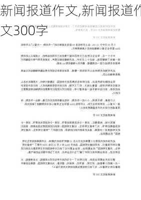 新闻报道作文,新闻报道作文300字-第2张图片-星梦范文网