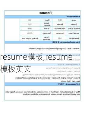 resume模板,resume模板英文-第2张图片-星梦范文网