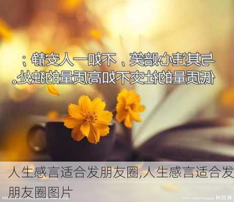 人生感言适合发朋友圈,人生感言适合发朋友圈图片-第2张图片-星梦范文网