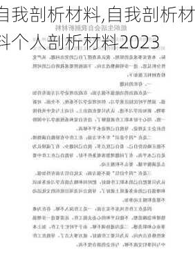 自我剖析材料,自我剖析材料个人剖析材料2023-第3张图片-星梦范文网