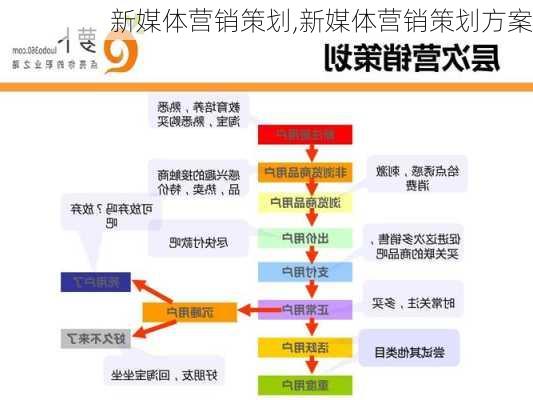 新媒体营销策划,新媒体营销策划方案-第2张图片-星梦范文网