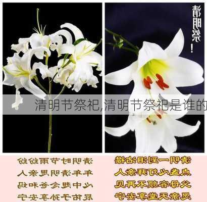 清明节祭祀,清明节祭祀是谁的-第3张图片-星梦范文网