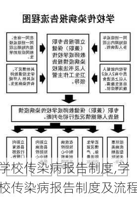 学校传染病报告制度,学校传染病报告制度及流程-第2张图片-星梦范文网