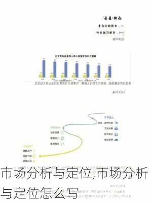 市场分析与定位,市场分析与定位怎么写-第2张图片-星梦范文网