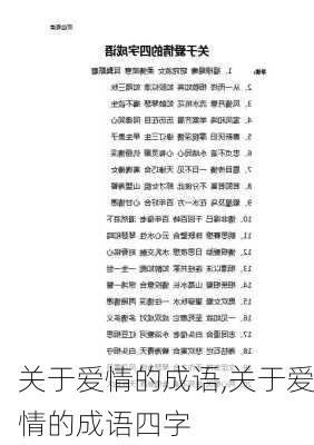 关于爱情的成语,关于爱情的成语四字-第2张图片-星梦范文网